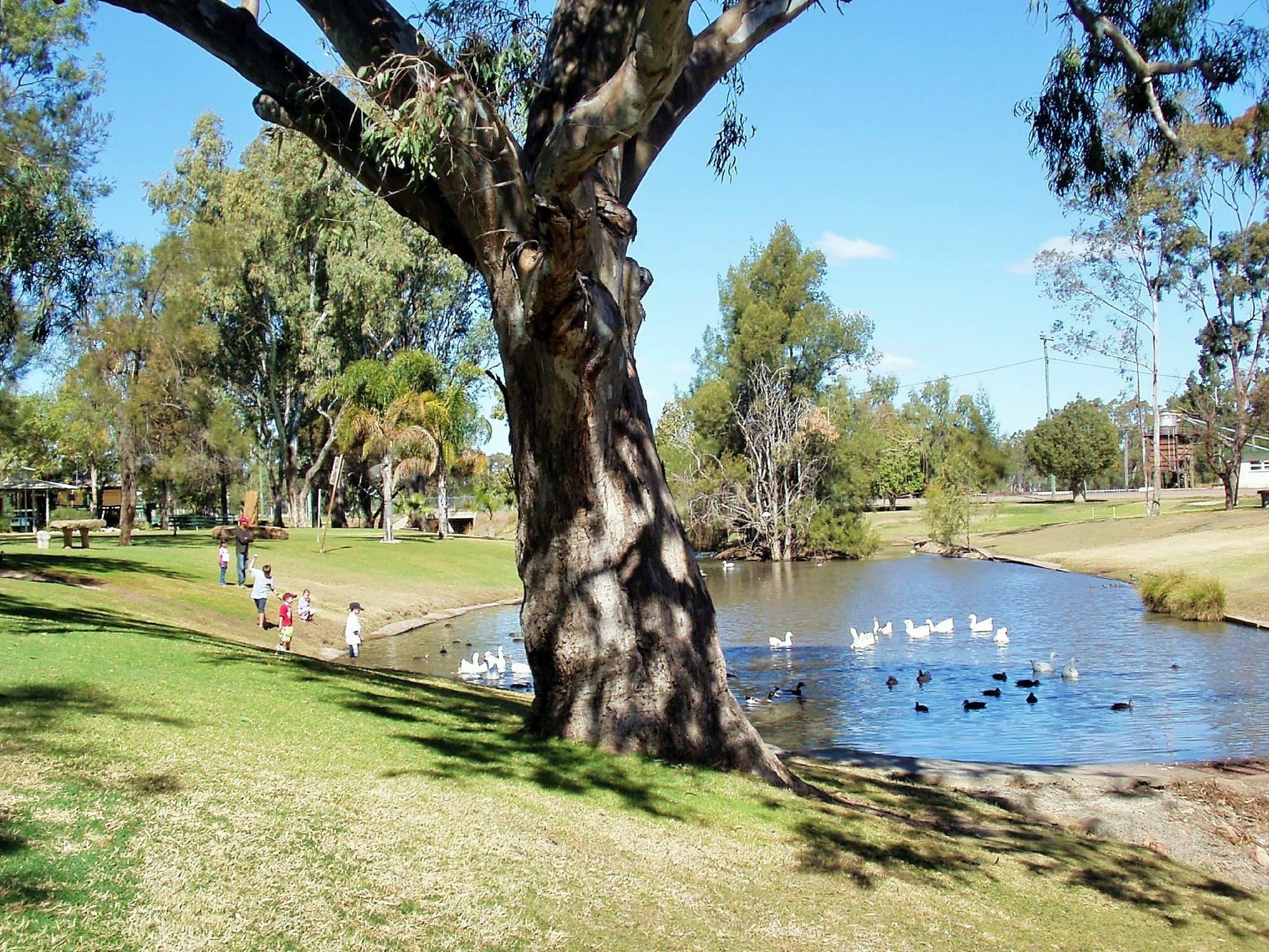 Western Bungil Creek 4*